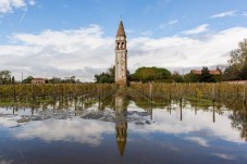 Degustazione Privata di Vini all'Isola di Mazzorbo con Sommelier