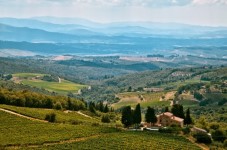 Tour in Vespa di un'intera giornata nel Chianti