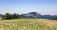 Passeggiata a Cavallo di Coppia sui colli bolognesi