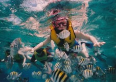 Snorkeling in Liguria