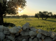 Weekend Romantico B&B Venezia