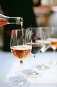 Degustazione 3 vini a Cuneo - Piemonte