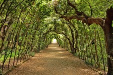 Palazzo Pitti e Giardino di Boboli