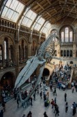Buono regalo viaggio Bordeaux per genitore e figlio con ingresso al Muséum d’Histoire Naturelle