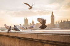 Visita privata del Castello di Leeds e di Canterbury, Dover e Greenwich