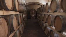 Degustazione Verticale 3 annate | Cantine della Sicilia