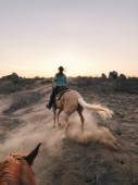 Passeggiate a Cavallo con Picnic per 4 persone