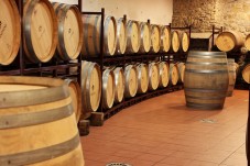 Tour di degustazione di vini della Valle del Douro da Porto