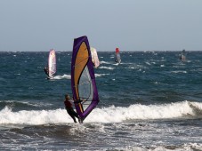 lezione Surf o Windsurf 