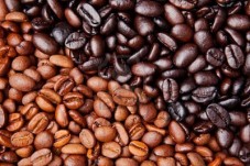 Torrefazione e Degustazione di Caffè Speciali con Colazione completa per 4 persone