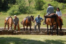 Una settimana con la mezza pensione in agriturismo e 6 passeggiate cavallo