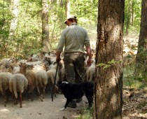 Una cena tra i Cuiles di Buchi Arta in Sardegna