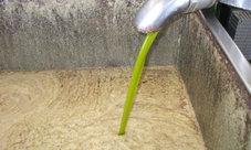 Puglia visita di 2 ore in frantoio con degustazione di olio extravergine di oliva