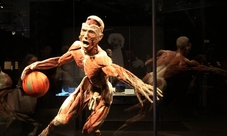 Biglietto salta coda: Body Worlds of Amsterdam