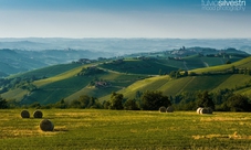 Private bike tour in Barolo with wine tasting and light lunch