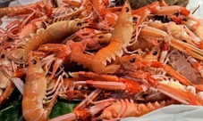 Great Galician tapas tour
