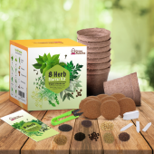 Coltiva le tue Erbe Biologiche Starter Kit