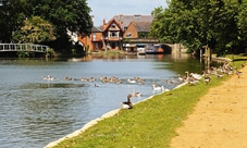 Oxford picnic cruise with glass of wine