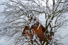 Fuga Romantica di Due Notti in Casa sull'Albero Avellino 