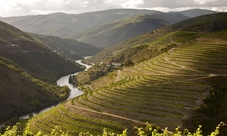 Wine Tour nella Douro Valley - intera giornata