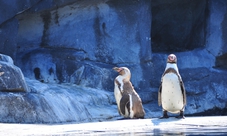 Zoo di Parigi: abbonamento annuale