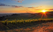 Tour del Chianti Classico con cena a partire da Pisa