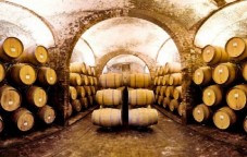 Tour dei Grands Crus a Saint-Émilion: visita del paese e dei vigneti