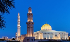 Escursione per crociere: tour della città di Muscat di mezza giornata