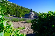 Tour del vino nella campagna di Cézanne