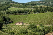 Soggiorno Sicilia con escursioni a cavallo tra vigneti e montagne