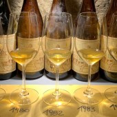 Degustazione di Vini con Assaggi Locali- Pisa