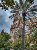 Visita guidata della moschea e del quartiere ebraico di Cordova