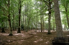  TOUR DELLE MALGHE DI MONTECAMPIONE 