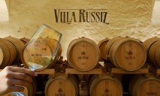 Degustazione vini friulani con prosciutto San Daniele a Villa Russiz