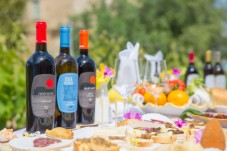 Degustazione 5 vini e Tour Cantina - Sicilia