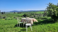 Olive Experience a Pienza - Siena