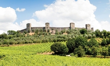 Tour del Chianti e di Siena con degustazione di vini e cibo