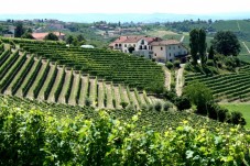 Degustazione vini da collezione Piemonte