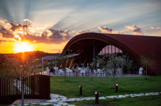 Visita Cantina e Degustazione Vini ad Ancona