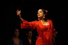 Tour dell'Alhambra con spettacolo di flamenco