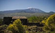 Etna e Randazzo - Visita guidata della Valle d'Alcantara da Taormina