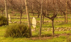 Emiliana & Bodegas RE Wine Tour