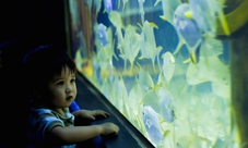 Morning City Tour with Manila Ocean Park