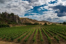 Visita Cantina, Degustazione e light lunch in Sicilia