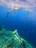 Esperienza privata “Premium” snorkeling con fingerfood e prosecco con bagno - Napoli