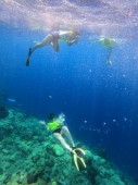 Snorkeling singola città sommersa di Baia