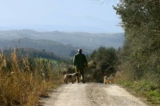 Caccia al tartufo nel cuore della Toscana Valdichiana Senese