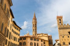 Tour di mezza giornata a Firenze con Bargello e l'Accademia
