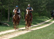 Lezione Di Equitazione In Puglia