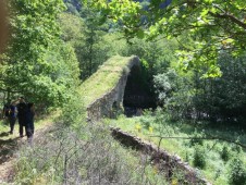 Escursione Lungo il Fiume in Calabria